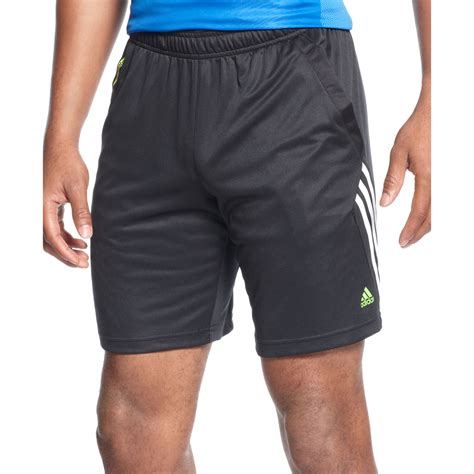 adidas herren fußballshorts predator training|Predator .